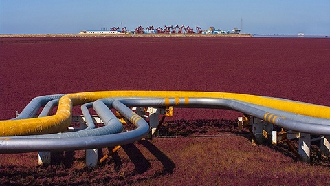 国家油气管网公司或于8月挂牌，组建模式参照中国铁塔