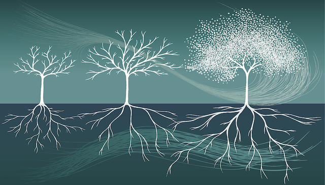 华为,海尔,联想,TCL,宝钢