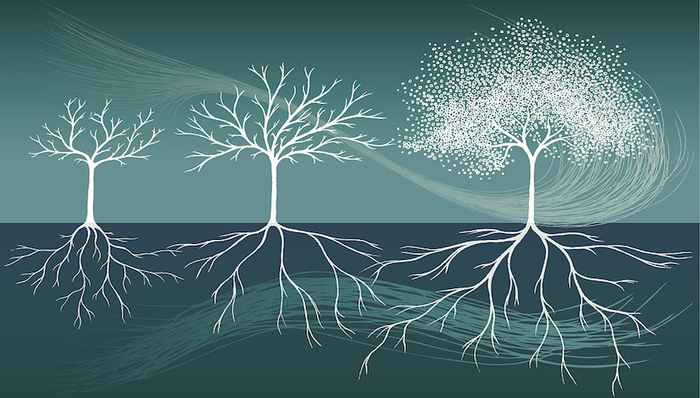 华为,海尔,联想,TCL,宝钢