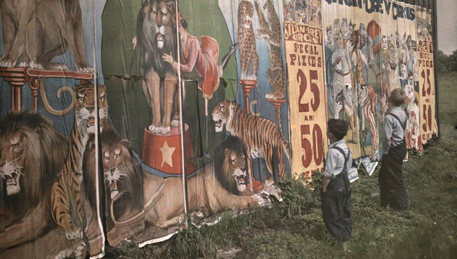 手工着色、波长干预和薯粉颗粒 ：科学家和摄影师们在追寻“彩色影像”的道路上都干了些什么？