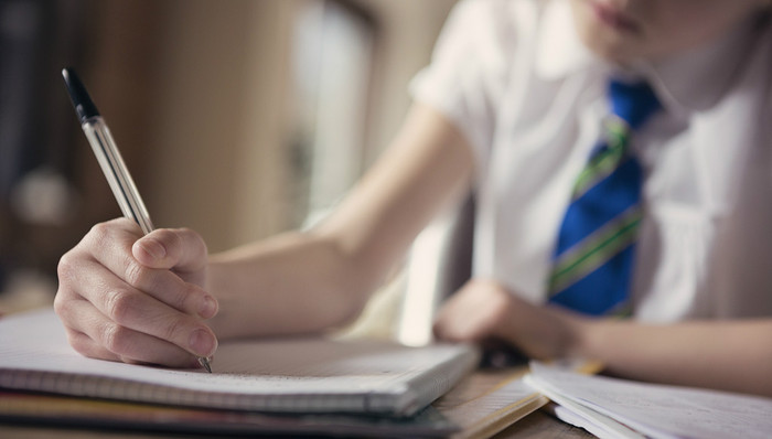 校外培训,紫光学大,学大教育