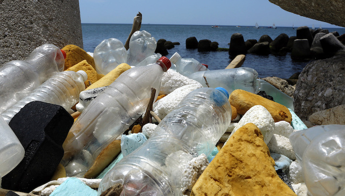 塑料,禁令,海洋,大选