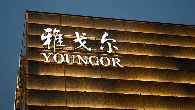 雅戈尔,结构性存款,汉麻,乔治阿玛尼,板块,投资收益,投资特点,服装业务,投资业务