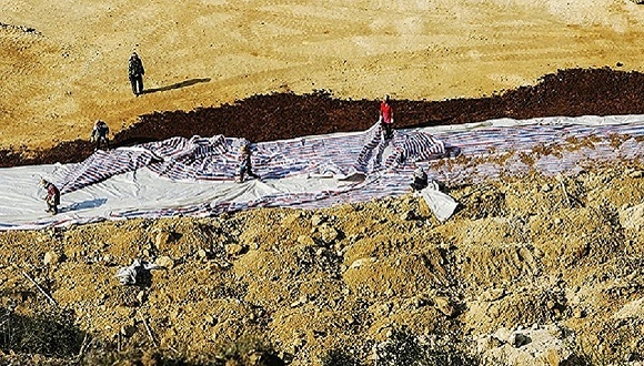 力度空前！三部委将赴多地调研稀土等战略性矿产资源，稀土永磁再掀涨停潮