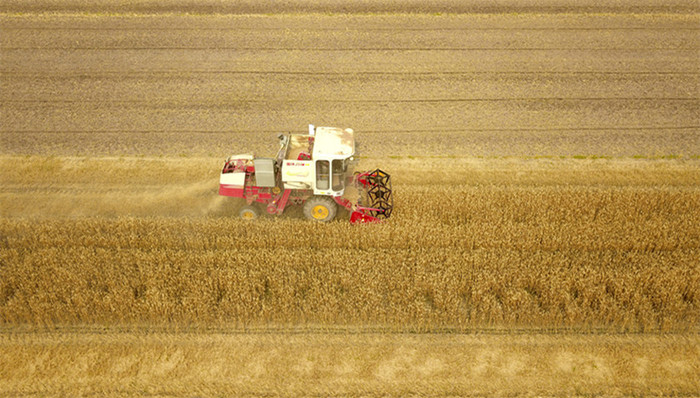 夏粮丰收,社会办医,乡村振兴,CPI