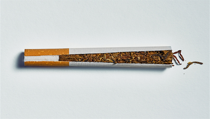 中烟香港,中烟国际,中烟,烟草,香烟