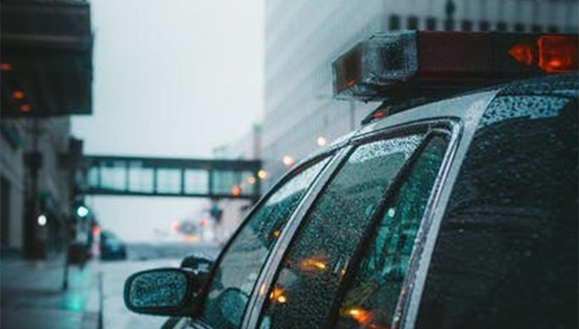 团伙,落网,贷款