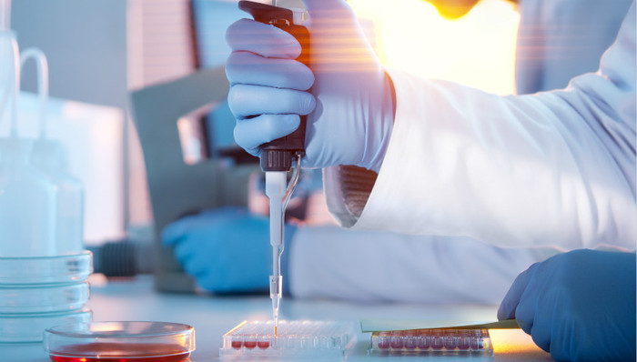 进展,中医科学院,团队成员,前体药物,techsina,虫株,抗药性,血红素,联合疗法,红斑狼疮