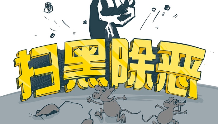 杨浦区,涉恶,除恶,扫黑,黑恶势力,套路贷,一把手,涉黑,刑事案件,欠条