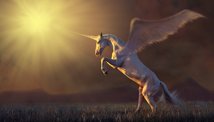 互联网,创投,资本市场,独角兽