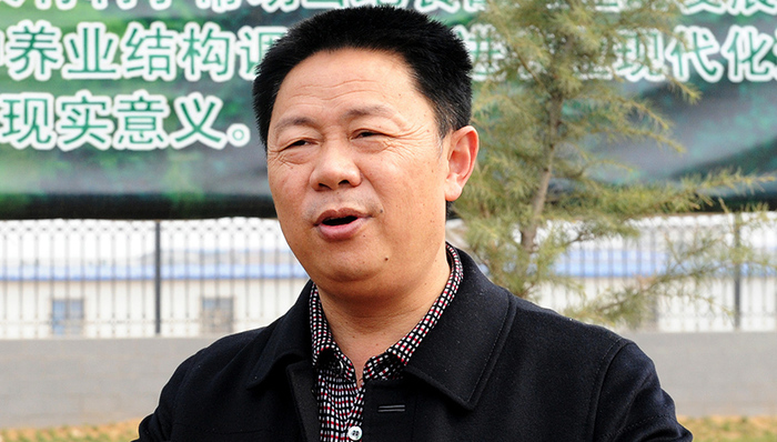 ST,雏鹰,侯建芳,减持,强制执行,框架协议,持股市值,时间窗口,证券行业,集合竞价