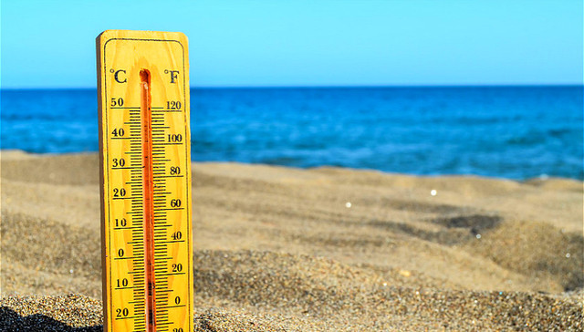 新人文主义,万博宣伟,腾讯,阿里巴巴,亚马逊,多元化,企业社会责任