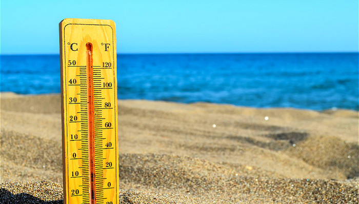 新人文主义,万博宣伟,腾讯,阿里巴巴,亚马逊,多元化,企业社会责任