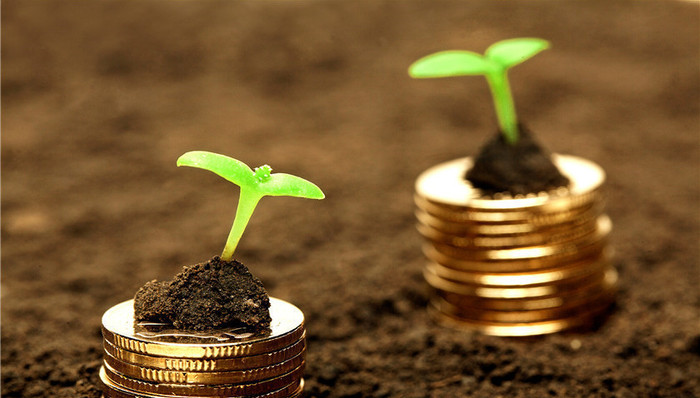 7.5万市值顶格申购，首只科创板股打新攻略看过来