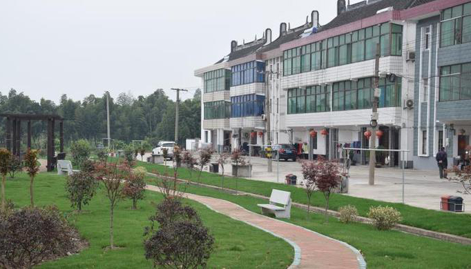 星火村,,,出村,垃圾分类,垃圾进行,垃圾处置,上海金山,干湿,三笔账,经济账