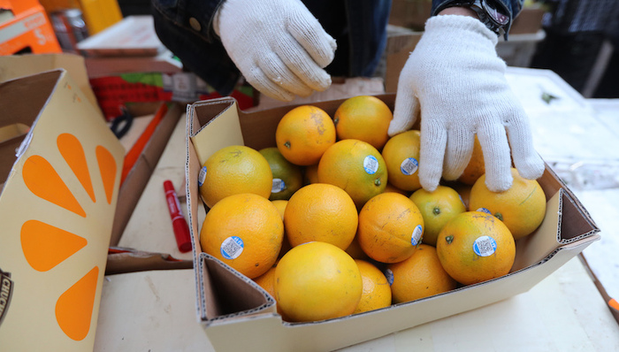 云南褚氏果业，褚时健