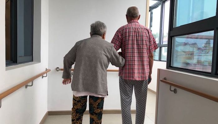 养老,照护,长护险