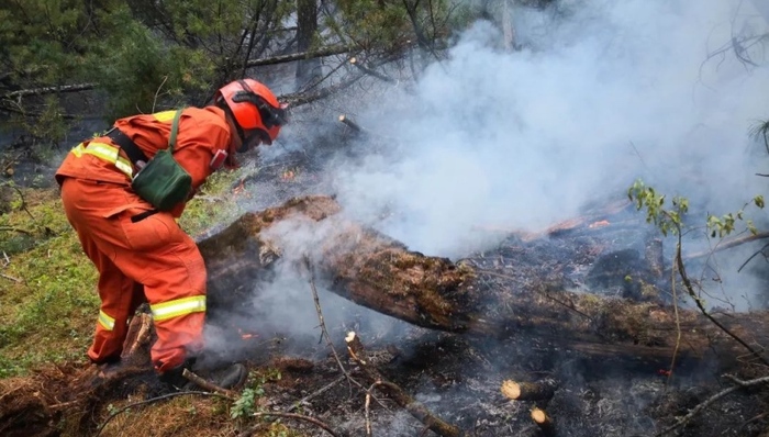 火灾扑救,火灾扑灭,激流河,干雷暴,扑救火灾,兵力部署,内蒙古大兴安岭林区,扑火,雷击,林业局