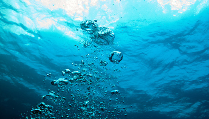 茂名,政协主席,溺水