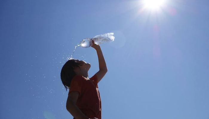 烧烤,国网,费县,高温预警信号,董振,供电公司,华灯班,迎峰度夏,队员,驱蚊水