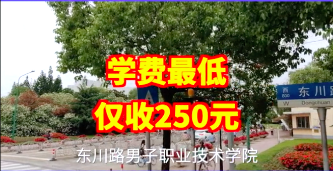 看完上海交大的这条招生广告，学生你们来不来？