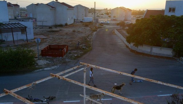 中东,和平,巴勒斯坦,经济,投资,以色列