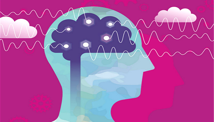 量子管理,牛顿管理,丹娜•左哈尔,张瑞敏,海尔,阿里巴巴