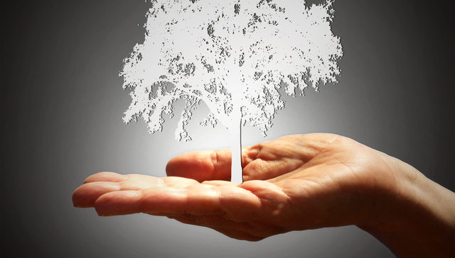 富人急着多缴税，美国政府为啥不愿征？