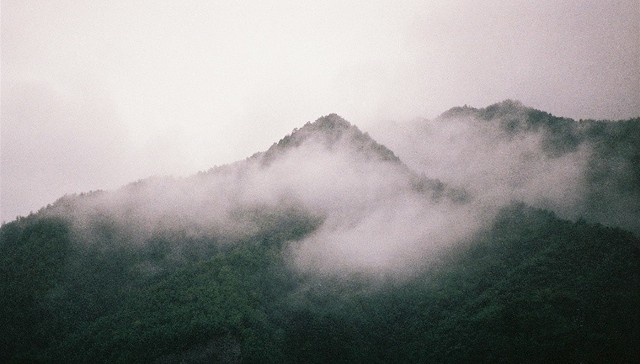 国家公园,森林公园