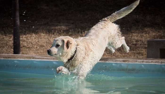 欧洲,热浪,法国