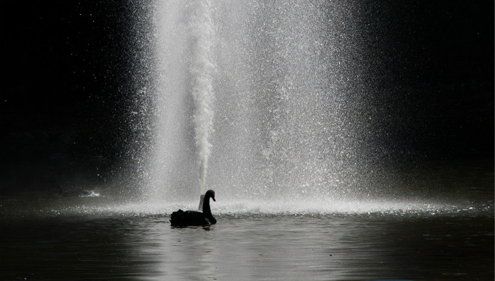 2019年下半年潜在的十个金融黑天鹅