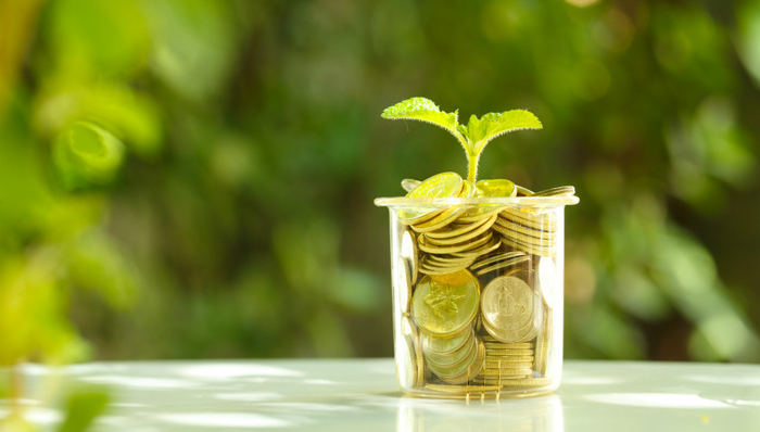 限售股解,招商蛇口