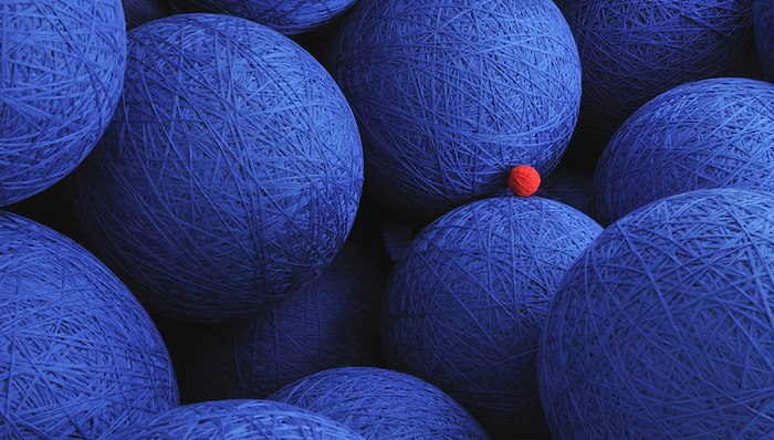 华为,腾讯,阿里巴巴,富士康,蚂蚁金服,百度,亚马逊,谷歌,美团,字节跳动