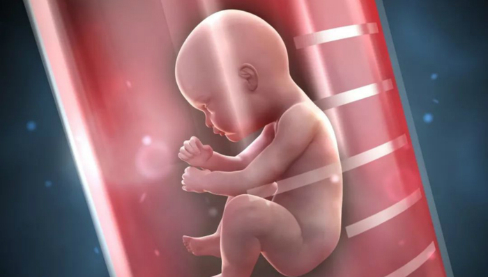 生殖健康,辅助生殖,锦欣生殖,IPO