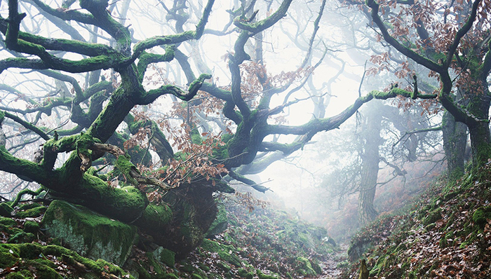 历史,环境,科学新知
