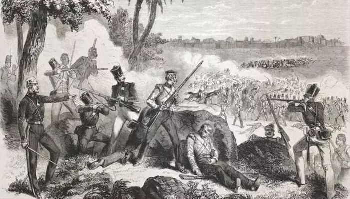 从火药到军事“大分流”：近代中国是怎样成为“睡狮”的？