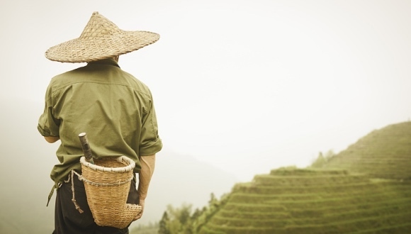 农业农村部：“空心村”的根本原因是乡村没有产业