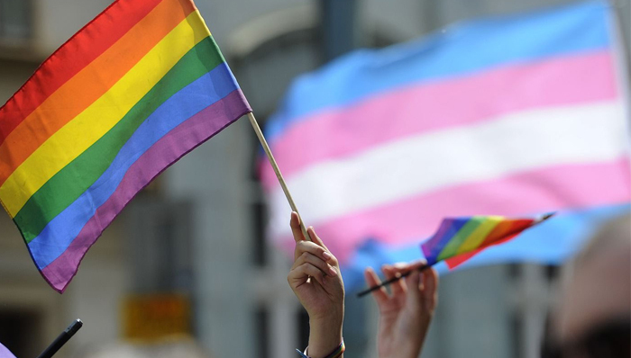 LGBT,性别平等,书评