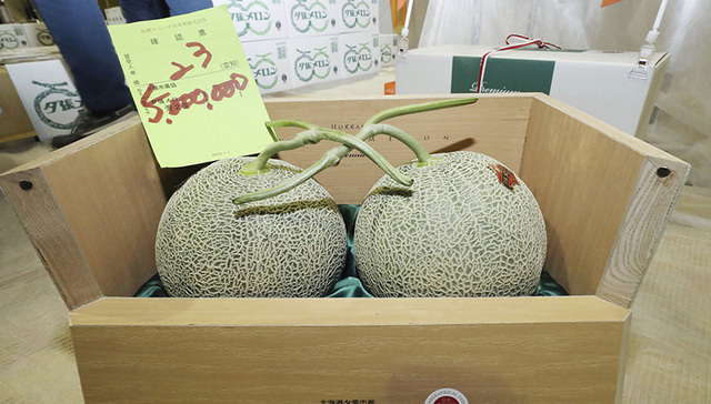 日本天价蜜瓜 你愿意买吗？