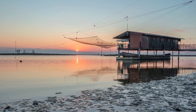 养蛏大王,跳海维权