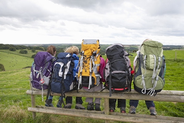 去哪儿,旅游风向标