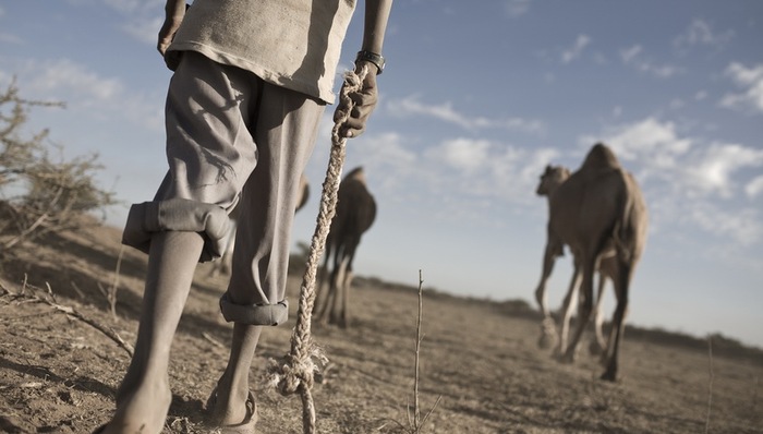 几内亚,断交,索马里兰,主权,摩加迪沙,国际社会,欢迎仪式,断绝外交关系,科纳克里,领导人