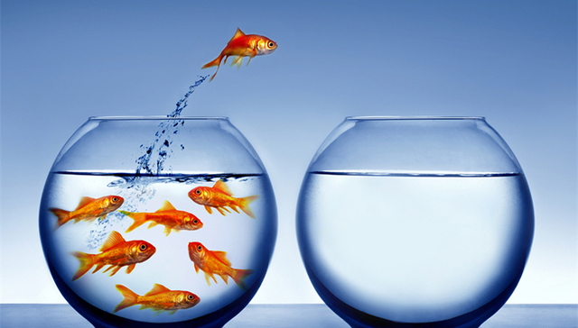 留学,留学市场,欧亚国家