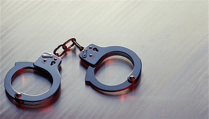 陈淑惠,黄金期,普通程序简化审,国土厅,灵武市,女强人,敛财,刘某,指定管辖,老朋友