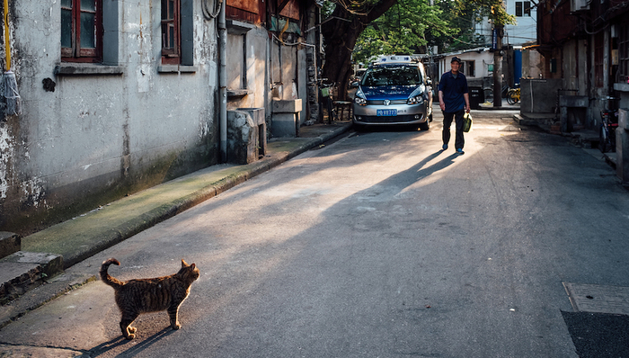 普陀区,成片旧改,拎马桶,城市更新,上海市人大