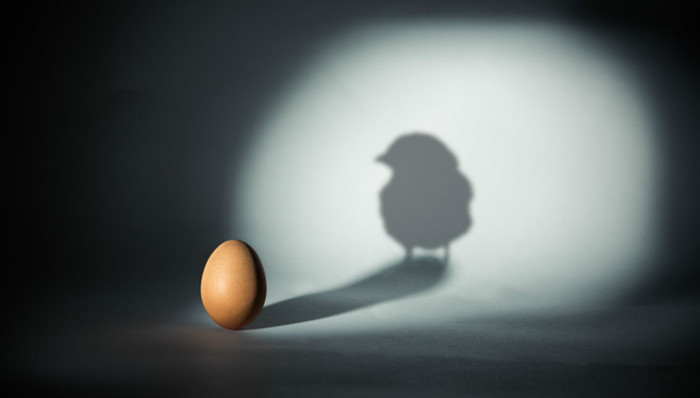 Airbnb,普拉达,古驰,影子董事会,商业模式,千禧一代