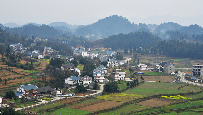 农村厕改,校舍问题水泥