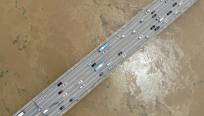 医保骗保,高层人才,教师体罚学生,太湖螺蛳,文明养狗