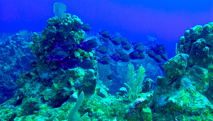 矿业,天下故事,产业转型