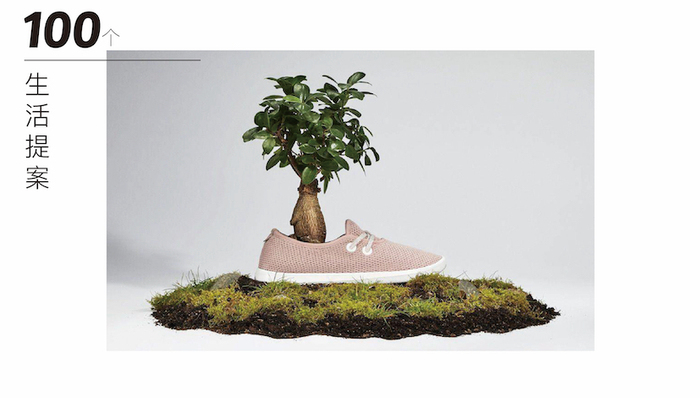 Allbirds,鞋,生活提案